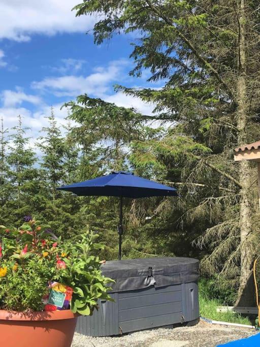 Bankhead Accommodation With Hot Tub Aberdeenshire Gamrie ภายนอก รูปภาพ